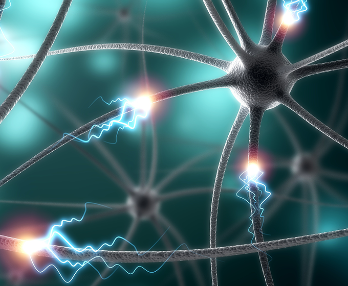 neurons_680